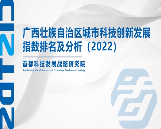 大黑屌插屄视频【成果发布】广西壮族自治区城市科技创新发展指数排名及分析（2022）